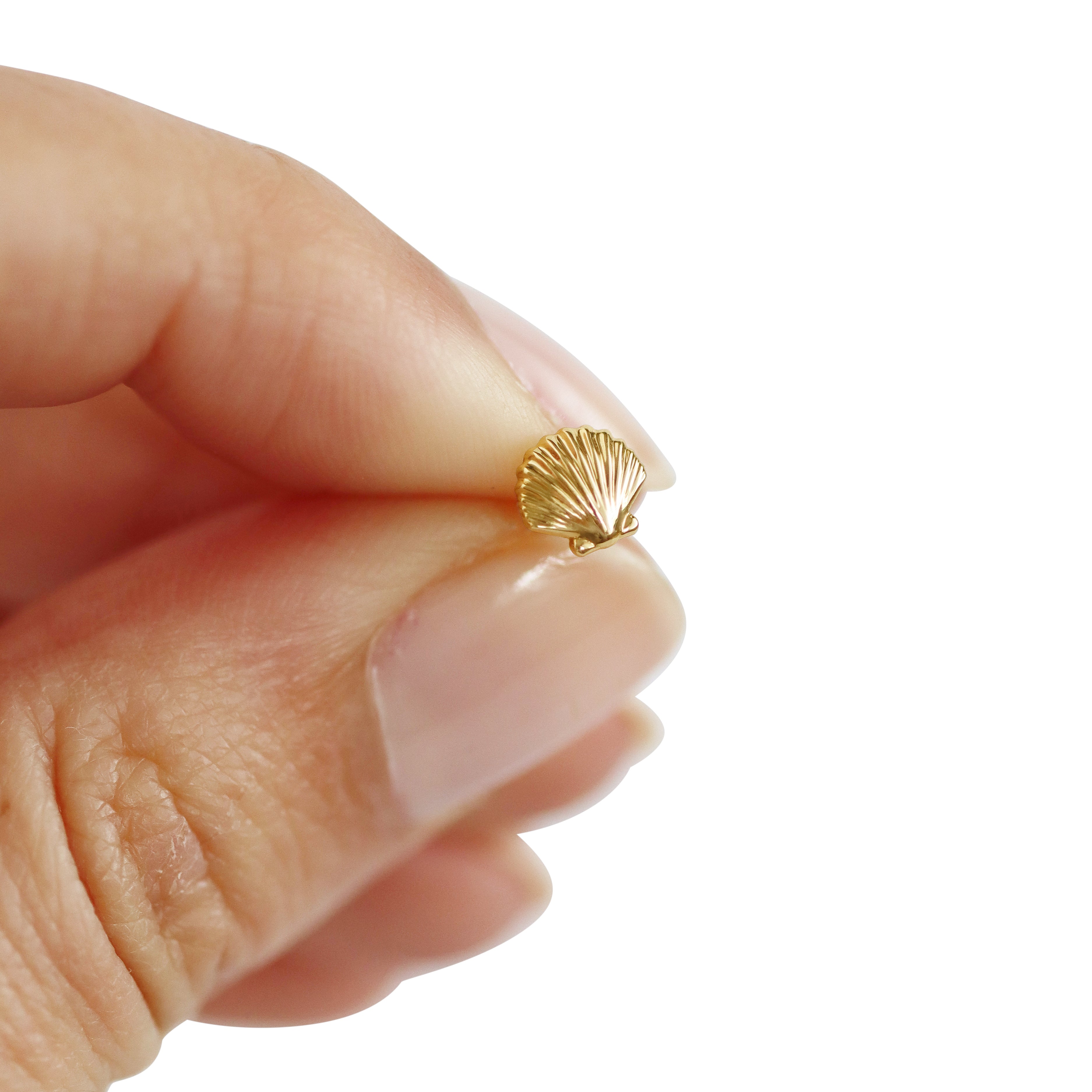 14K Yellow Gold Seashell Stud